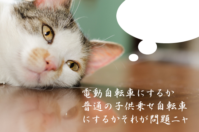 f:id:tomo_king:20170820071316j:plain f:id:tomo_king:20170820071316j:plain